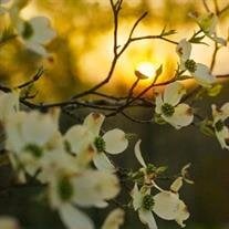 Sally Morgan