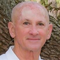 David Austin Price