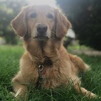 Daisy Mae Jones
