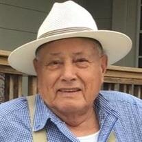 Pedro N. Mata