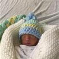 Liam Casimir Dailey