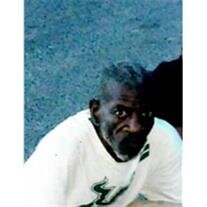 Theo M. Sylvester, Jr.
