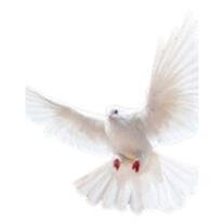 Mrs. Elaine Delores Haile