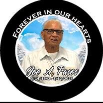 Joe Arviso Pasos