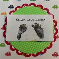 Kallen Cove Messer