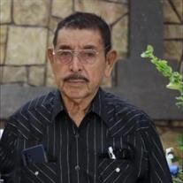 Jose Ibarra Vega