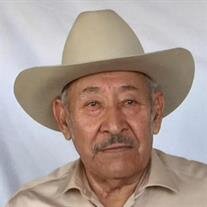Joel Guzman Luna