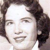 Sue Parnell Sullins Courts