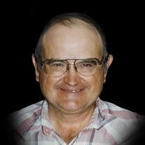Robert Leroy Mann