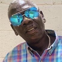 Mr. Bruce Leon Folks