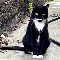 Tux Yablonsky