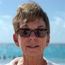 Carlyn N. Hudak