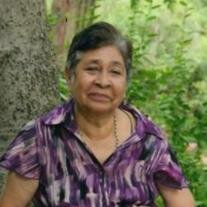 Guadalupe  Moreno