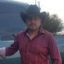 Pedro Torres Gamez