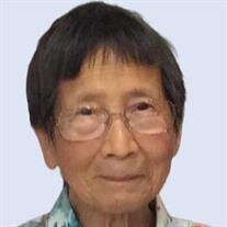 Dr. Chan Ling Hann WONG 黃陳令嫻