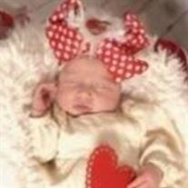 Everly Grey Pilkington