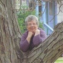 Sheila Ann Hefner