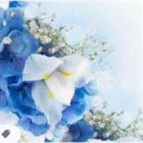 Shirley Rae McGill Hollingshead