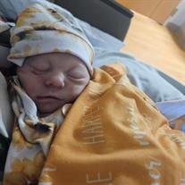 Harper Marie Sommers