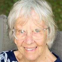 Joyce Ann Warschefsky