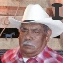 Guadalupe Torres Barrientos