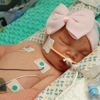 Ansley Grace Jarnagin