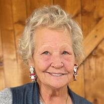 Judith Ann Dickison nee Vance