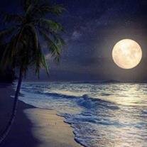 Donald Stanton Welty