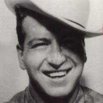 Dale O. Williams