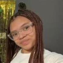 Aniyah L. Johnson
