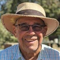 David E. Peters