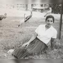 Laurice Tawadros