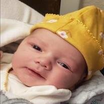 Winzley JoeVanna Ray White