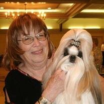 Jo Ann White Lawall