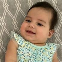 Madison Iliana Romero