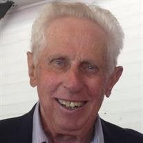 Mr. Robert F. Dalton