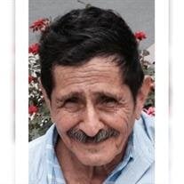 Mr. Ernesto Segovia Ventura
