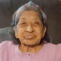 Zoila R. Trevio