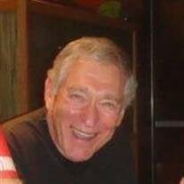 Mr. Sheldon Goldberg