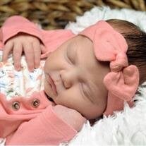 Blakely Rose Pickett