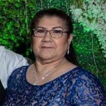 Marisela Castillo Garcia