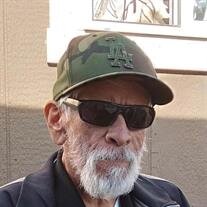 Renaldo Torres Manrriquez
