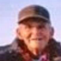 Newton E. "Newt" Culbert