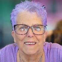 Janice "Jan" Ann (Needham) Schaefer