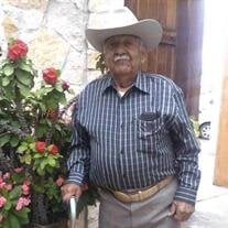 Guadalupe Sanchez