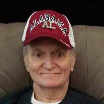 Mr. William Robert Wilson