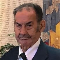 Mr. Angelo Ottavio Lapertosa