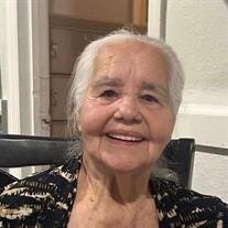 Mrs. Irene Soler