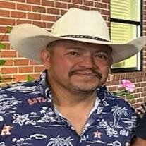 Mr. Fernando Hernandez Najera