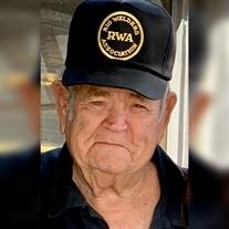 Ronald Low